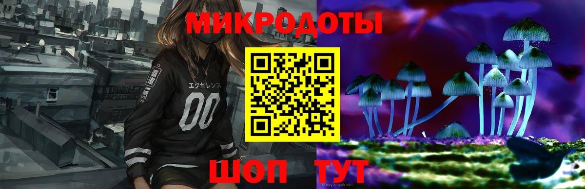 Галлюциногенные грибы Psilocybe Троицк