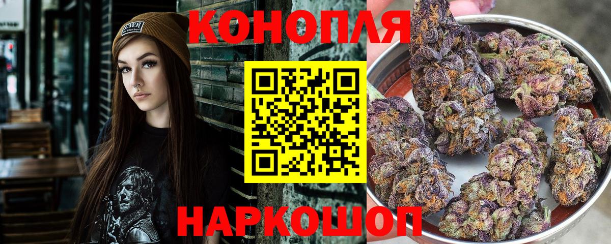 Конопля сатива Троицк